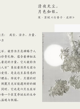 轻奢小众设计极简项链s925纯银