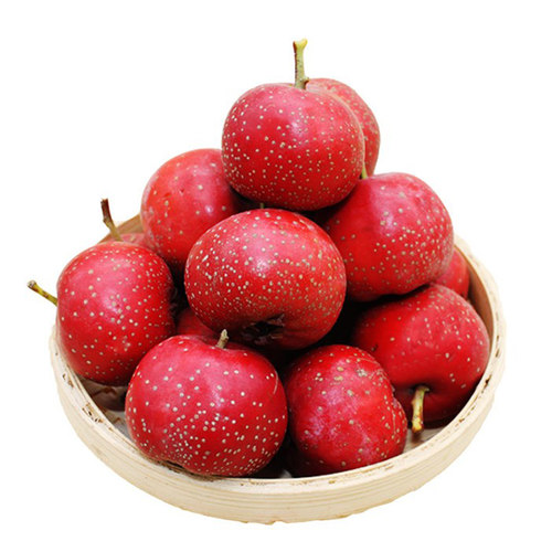 山楂果新鲜整框35斤鲜山楂山里红果糖雪球冰糖葫芦甜红子金星五棱 - 图3