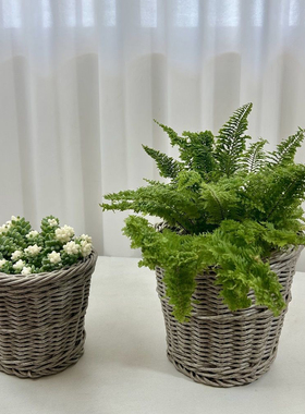 北欧仿藤编手工花盆虎皮兰琴叶榕