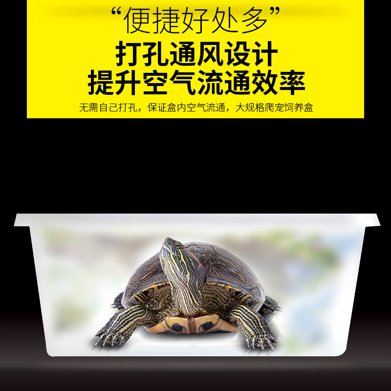 LIFELINE命脉龟、蛇等爬宠蛋繁殖孵化盒、爬宠运输盒-图2