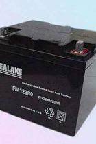 New Sea Lake FM0 Maintenance-free 12v38ah Valve Control Type UPS Host Mall Emergency Floodlight Storage Battery