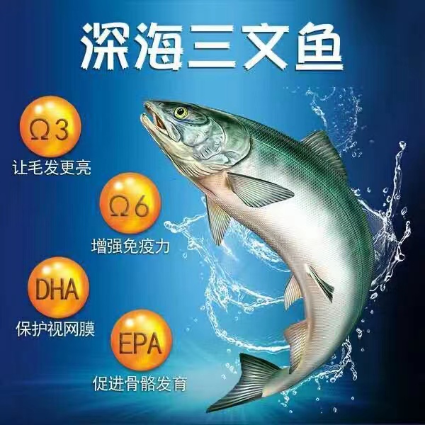 欢虎仔欢悦猫粮500kg幼猫营养三文鱼成猫增肥发腮欢呼仔全期1.5kg-图3