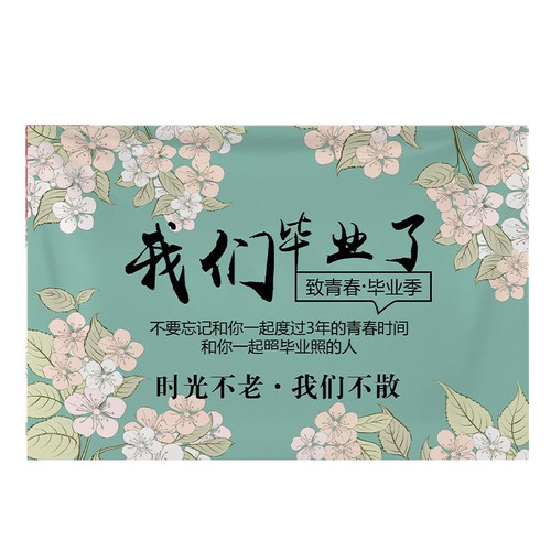 毕业季装饰挂布学校教室幼儿园活动户外布置拍照打卡背景布定制 - 图2