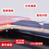 [Fake One Sepalty Ten] Galaxy Table Tennis Racket