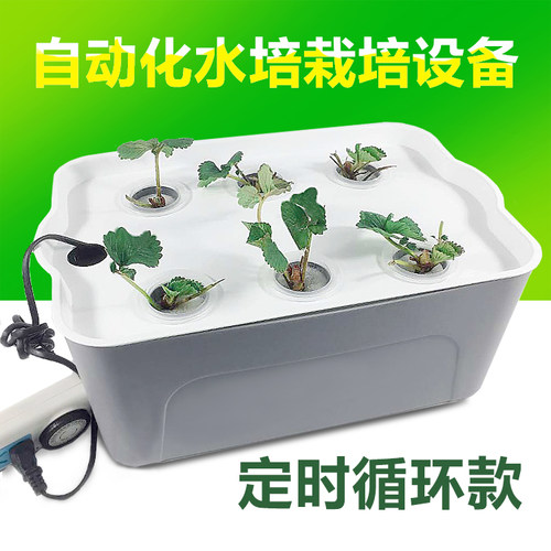 家庭阳台种菜 无土栽培设备室内水培蔬菜种植箱自动化水耕种菜机 - 图0