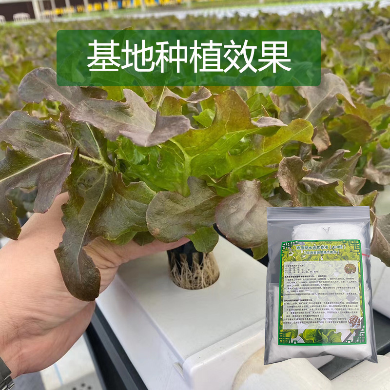 阳台种菜无土栽培蔬菜营养液通用型水培设备植物花肥料盆栽叶面肥 - 图2