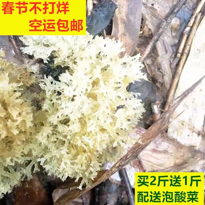 小林淘品土竹燕窝竹花四川乐山特产犍为名小吃竹菌1500g空运包邮