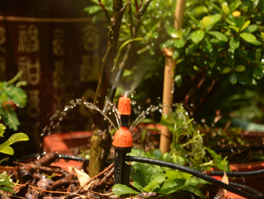 自动浇花器 阳台自动浇水雾化新款滴喷一体园艺花园菜地灌溉系统 - 图0