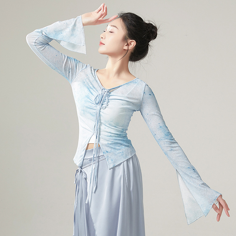 古典舞服装女飘逸身韵纱衣中国舞舞蹈服秋冬新款练功服演出服上衣 - 图1