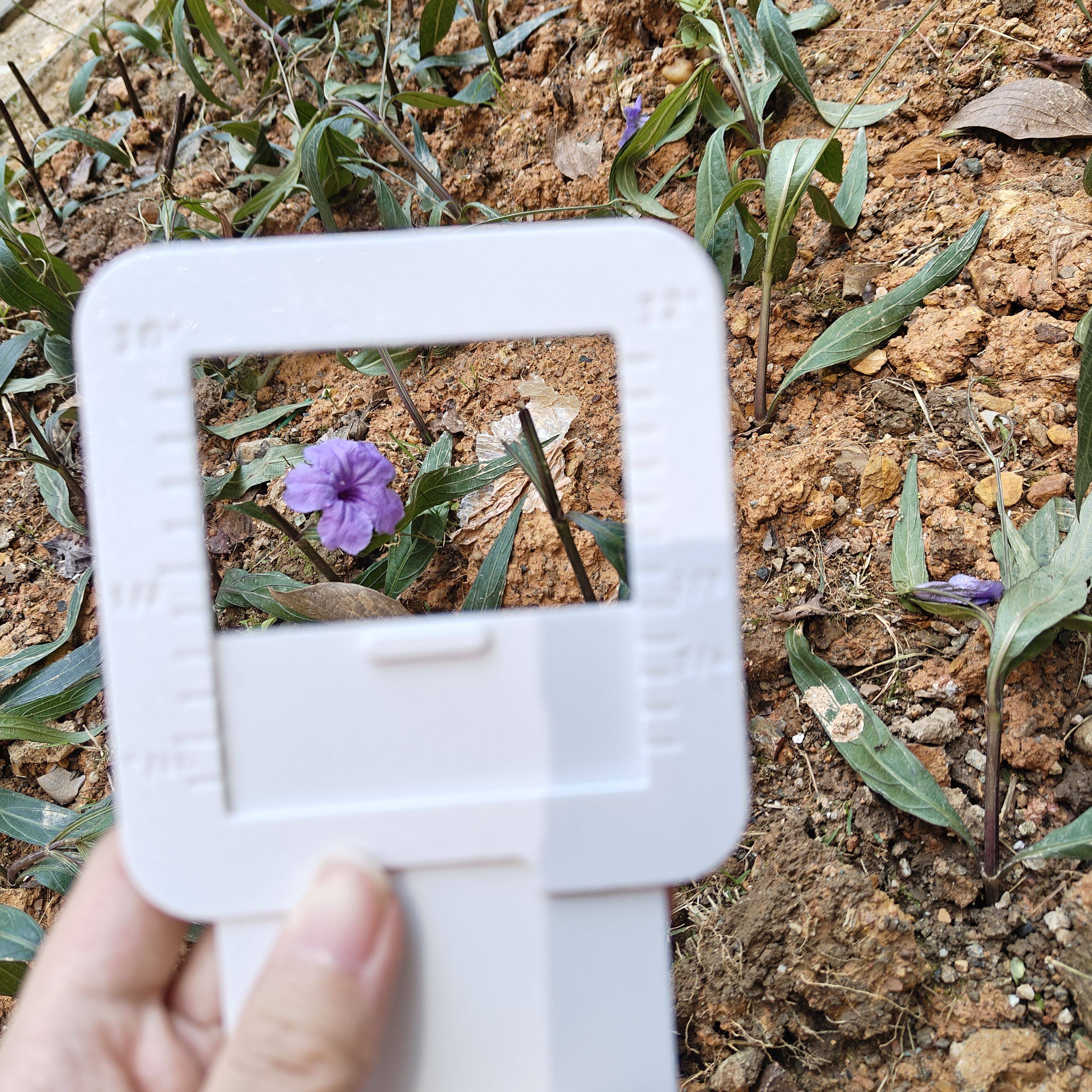 取景框水彩水粉油画素描写生绘画工具,淘宝优惠券,粉丝福利购,淘宝优惠卷