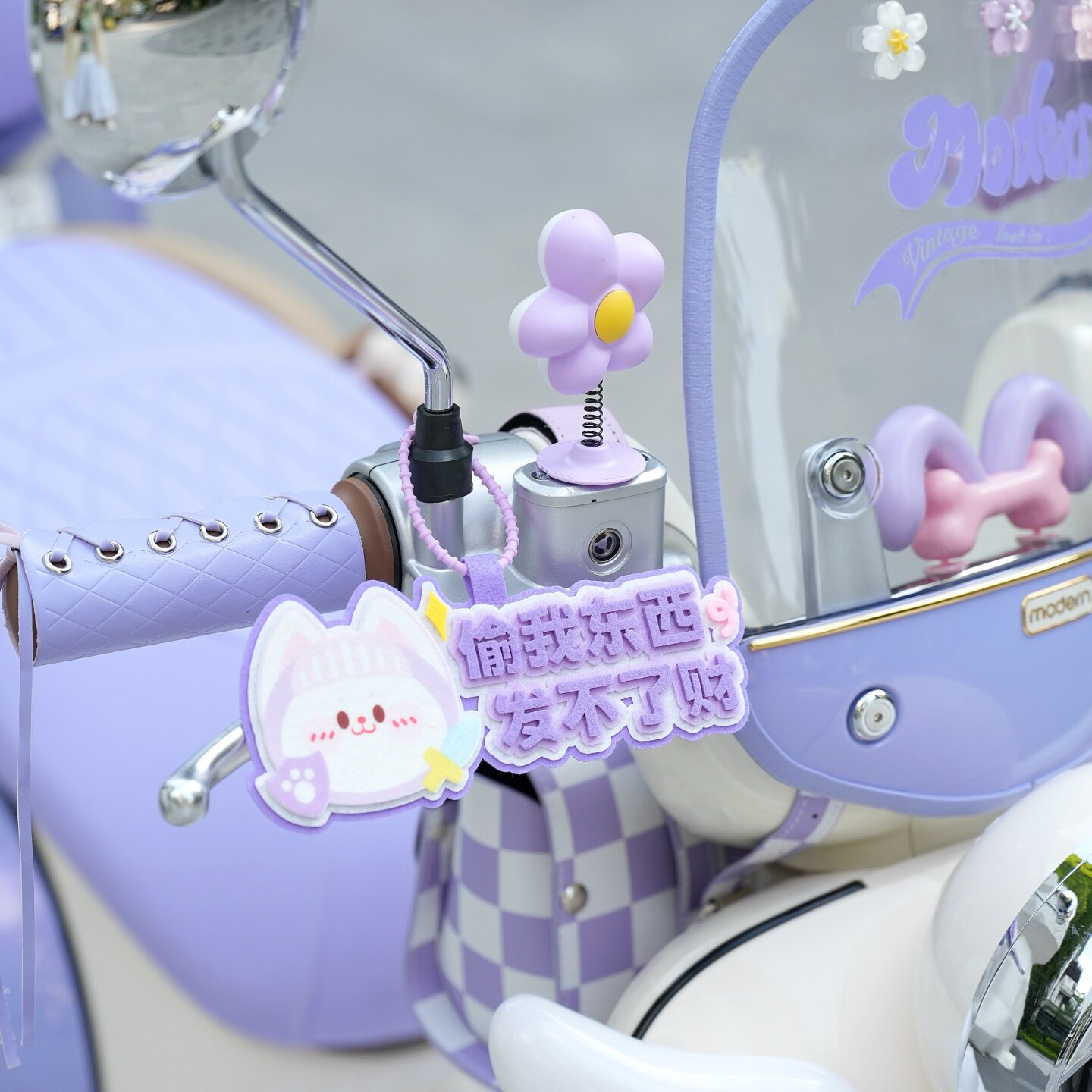 适用雅迪摩登光芒70棣王紫装饰电动车后备箱防水脚垫手机支架挂包,淘宝优惠券,粉丝福利购,淘宝优惠卷