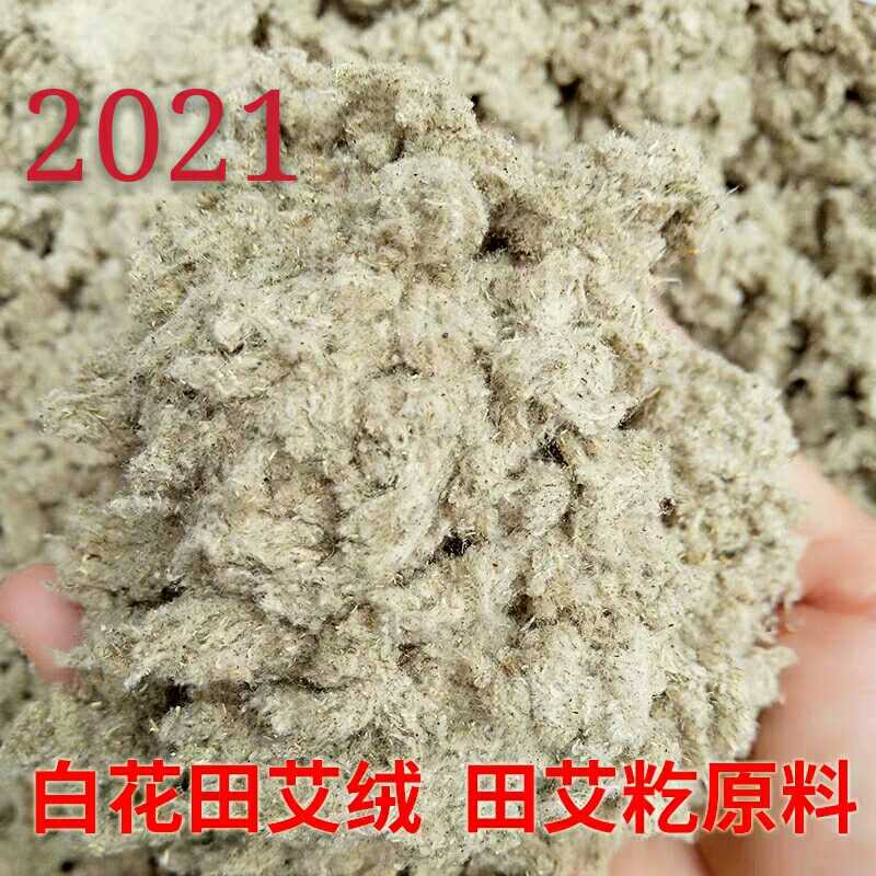 2023湛江农家野生艾草田艾 田艾绒 青团 艾糍 籺传统食品材料500g - 图1