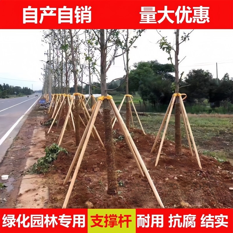 树木支撑杉木松木杨木棍防风工程支撑架杆园林绿化稳定支架固定器,淘宝优惠券,粉丝福利购,淘宝优惠卷