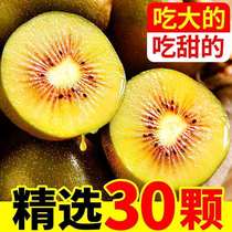 Sichuan Pujiang Red Heart gooseberry fresh fruit Pregnant Woman Chiechifruit When Season Big Fruits 30 Pure Sweet