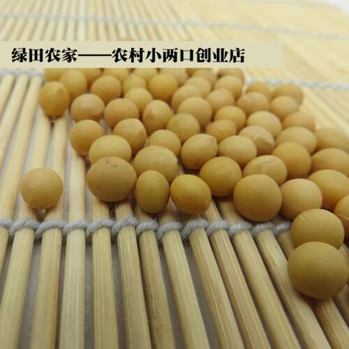 非转基因黄豆发豆芽专用黄豆打豆浆芽豆芽苗菜中小粒做纳豆 5斤装 - 图1