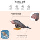 Simulated South Manatee children's science and education cognitive gift animal