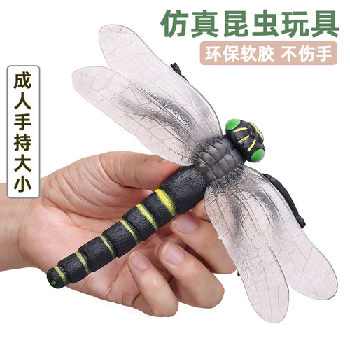 仿真昆虫模型七星瓢虫玩具蜘蛛蜻蜓蝎子西数蝗虫大号儿童科教礼物 - 图1