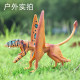 Jurassic dinosaur model pterosaur toy bat dragon Dimorphodon pterosaur children's science and education cognitive gift ornaments