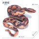Large children's simulation animal toy fake snake model wild animal venomous snake hovering boa constrictor boy gift