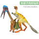Jurassic Simulation Dinosaur Toy Chinese Ornithosaurus Ankylosaurus