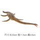 New Animal Model Dunkleosteus Sea Tyrannosaurus Boy