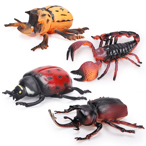 仿真昆虫模型七星瓢虫玩具蜘蛛蜻蜓蝎子西数蝗虫大号儿童科教礼物 - 图3