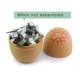 Educational 3D three-dimensional assembled toy model animal egg