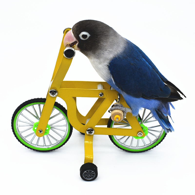 Parrot Bicycle Toy Bird Training Supplies Tiger Peony