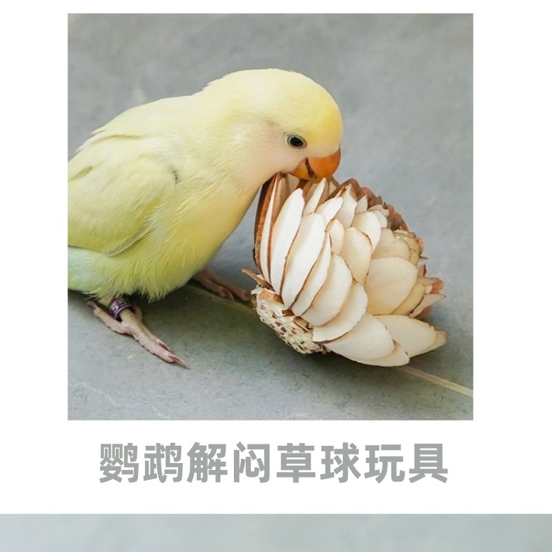 解闷啃咬套盒 可食用天然通草球棕榈叶藤编玩耍解闷咀嚼小鸟用品,淘宝优惠券,粉丝福利购,淘宝优惠卷