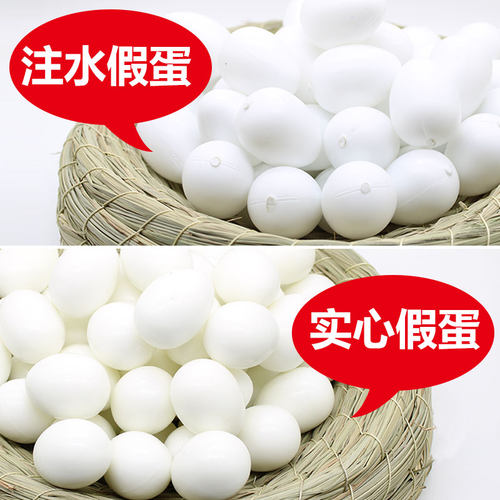 鸽具赛鸽子用品假鸽蛋仿真假蛋信鸽用品注水实心塑料假鸽子蛋批发 - 图0