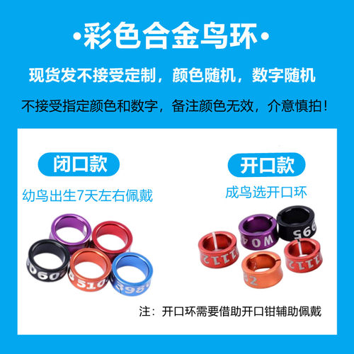 鸟鹦鹉脚环雏鸟幼鸟带闭口环识别环电镀合金开口鸟环八哥虎皮玄凤 - 图1