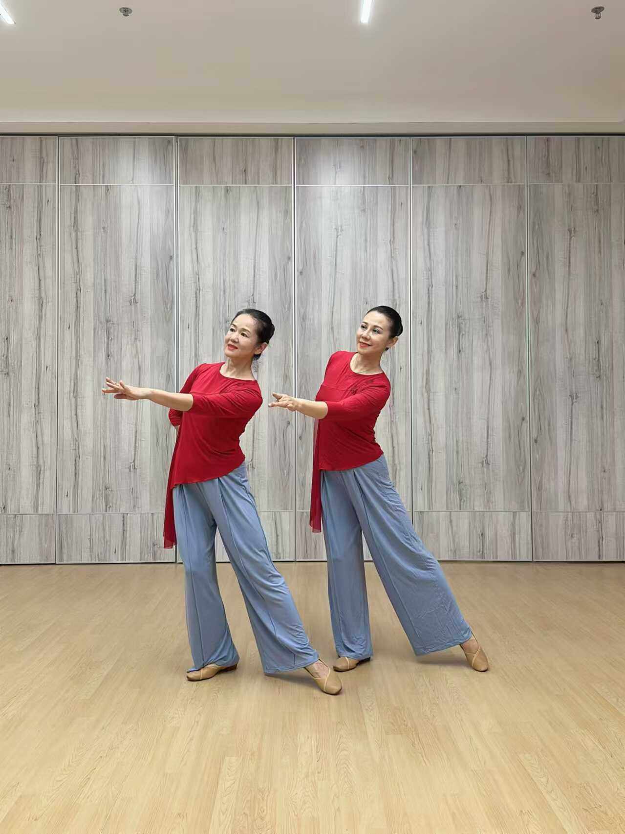 花与影新舞来不来都等你同款飘逸现代舞成人古典舞服莫代尔形体服