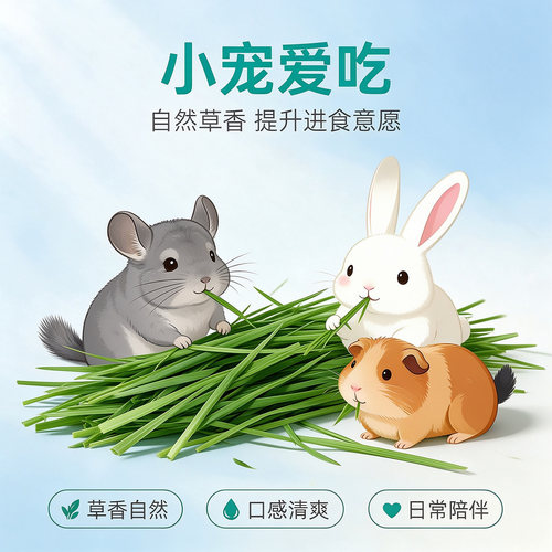 包邮JOLLY祖莉小麦草JP219兔子天竺鼠龙猫牧草干草兔草小麦草段 - 图3