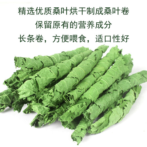 小宠桑叶卷50g/盒 宠物兔子龙猫荷兰猪豚鼠小零食高蛋白牧草干草 - 图1
