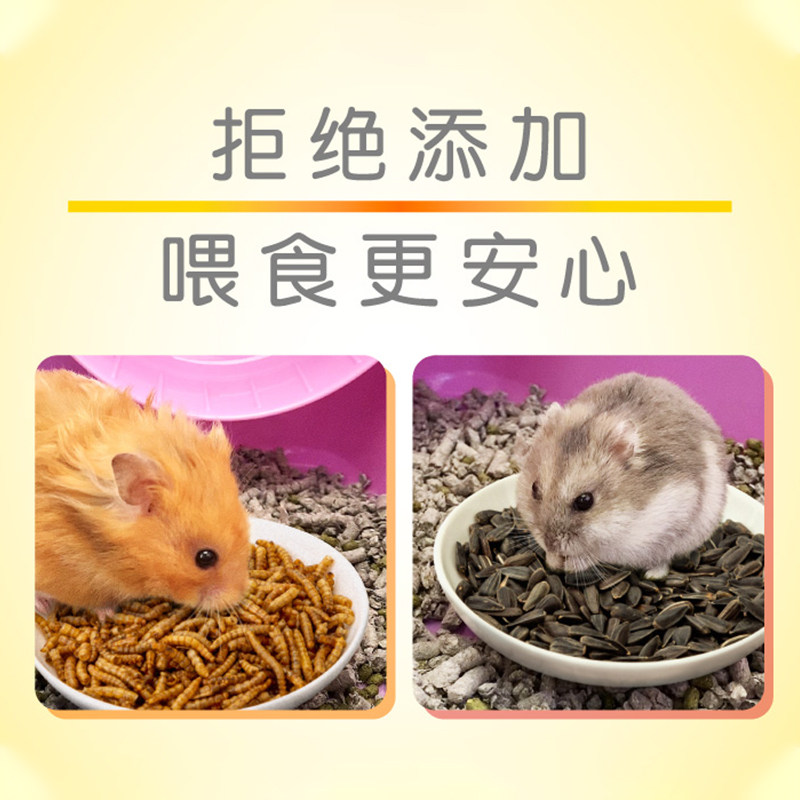 Jolly祖莉面包虫干仓鼠布丁金丝熊零食仓鼠零食葵瓜子小鱼干,淘宝优惠券,粉丝福利购,淘宝优惠卷