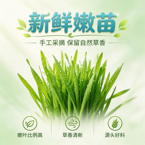 包邮JOLLY祖莉小麦草JP219兔子天竺鼠龙猫牧草干草兔草小麦草段 - 图0