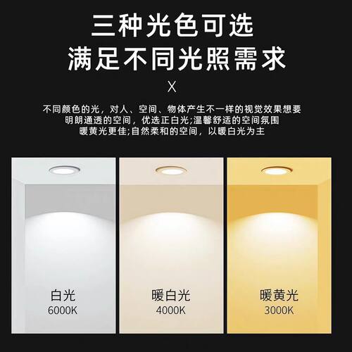 led筒灯4寸12公分孔灯8寸简灯天花灯6寸嵌入式射灯同灯吊顶洞灯 - 图3