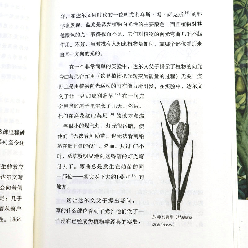 【现货速发】植物知道生命的答案(精装修订珍藏版) 董卿撰文全新增补植物味觉系统完整解读植物之谜自然科普读物自然科学正版书籍 - 图2