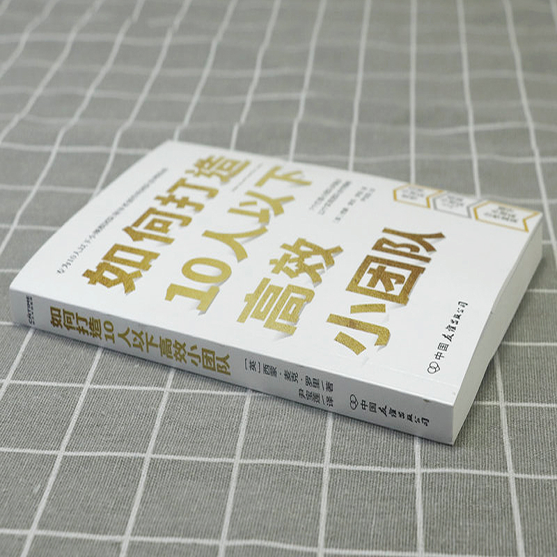 如何打造10人以下高效小团队 为新晋和中层管理者量身打造的小团队管理实用手册发挥小团队优势提升小团队合作意识正版书籍 - 图0