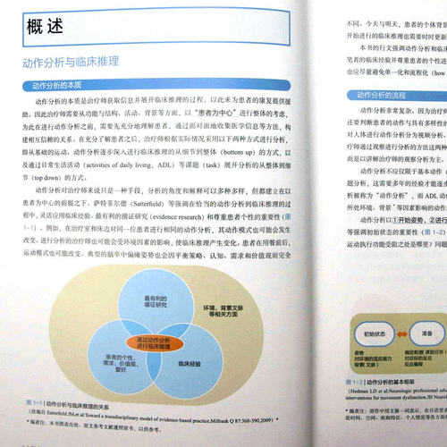 脑卒中动作分析：从临床推理到治疗方法 金子唯史著医学工具书从解剖学运动学神经学病例分析视角康复治疗师临床医学书籍 - 图2