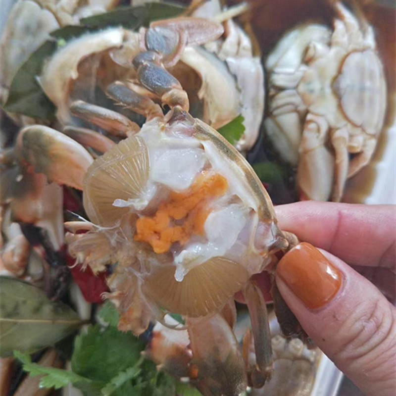 东港海鲜特产真空即食腌制花盖蟹盐水醉蟹小母蟹子海蟹螃蟹酱蟹子 - 图0