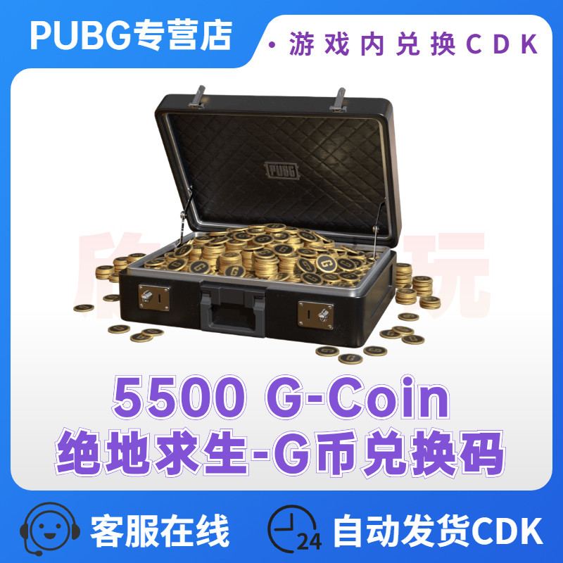 PUBGG币皮肤充值卡CDK兑换码绝地求生金币G-COIN游戏币直充激活码
