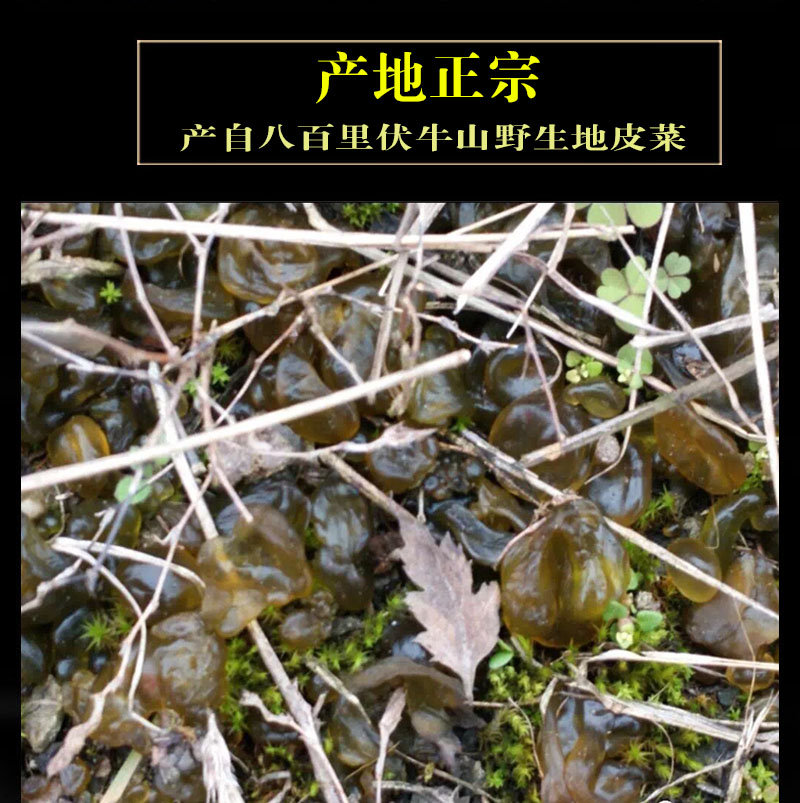 河南野生地皮菜干地菜地木耳地皮菜地软地衣雷公天菜地踏1斤特产-图0