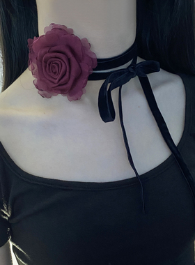 丝绒系绳女酒红玫瑰花锁骨链颈链