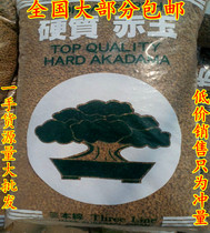 Japan imports red jade soil multimeat loess ground soil tribuna grain soil whole bag 13 liters