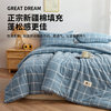 26 new Xinjiang cotton quilt winter quilt