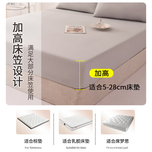床笠单件床罩宿舍床单非纯棉全棉全包席梦思保护罩床垫套2026夏季 - 图2