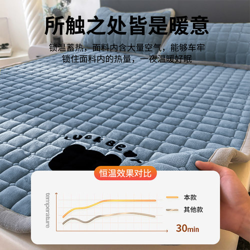 牛奶绒床垫褥子软垫家用加厚宿舍学生单人铺垫被冬季加绒毛毯床褥 - 图2