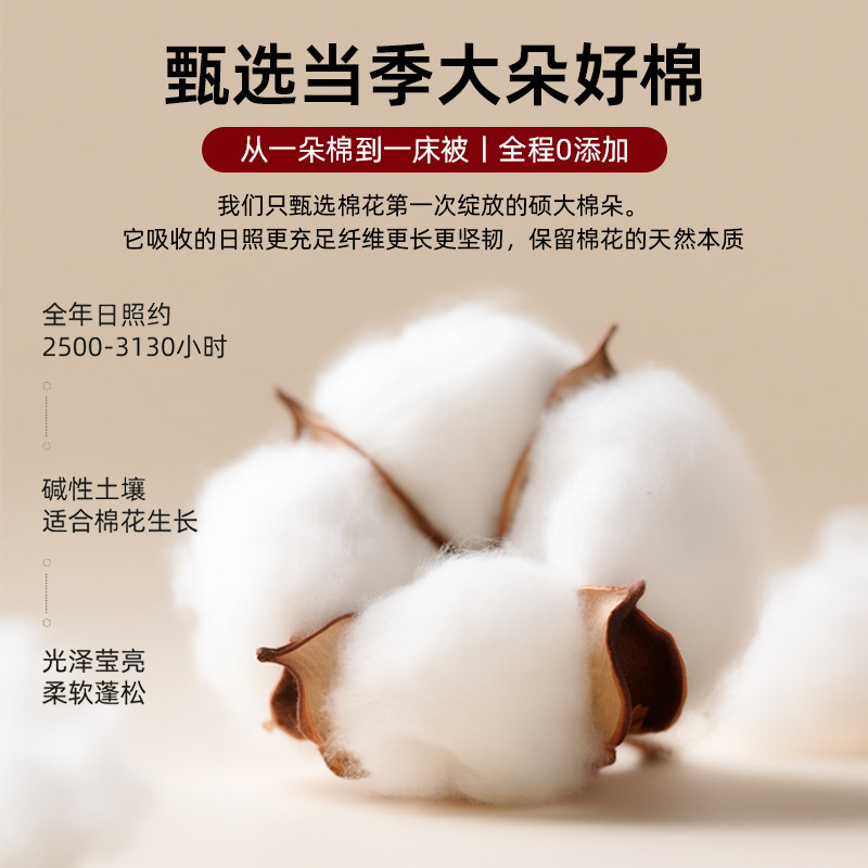 2025新款被子冬被新疆棉花被子被芯四季通用单双人棉絮加厚保暖褥,淘宝优惠券,粉丝福利购,淘宝优惠卷