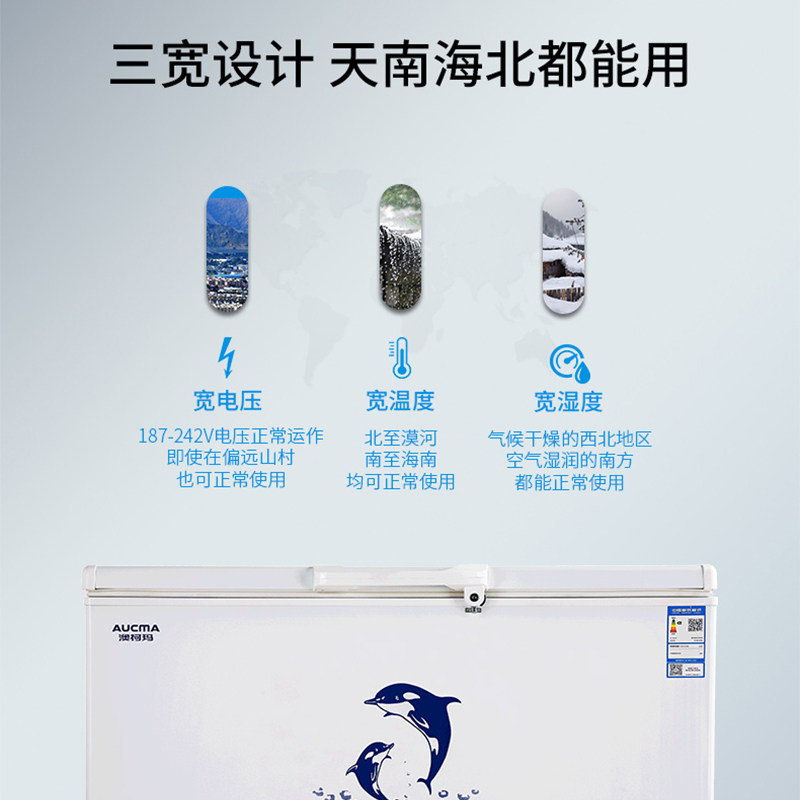 澳柯玛升商用大容量冷藏冷冻冷冻柜 澳柯玛盛逸冷柜